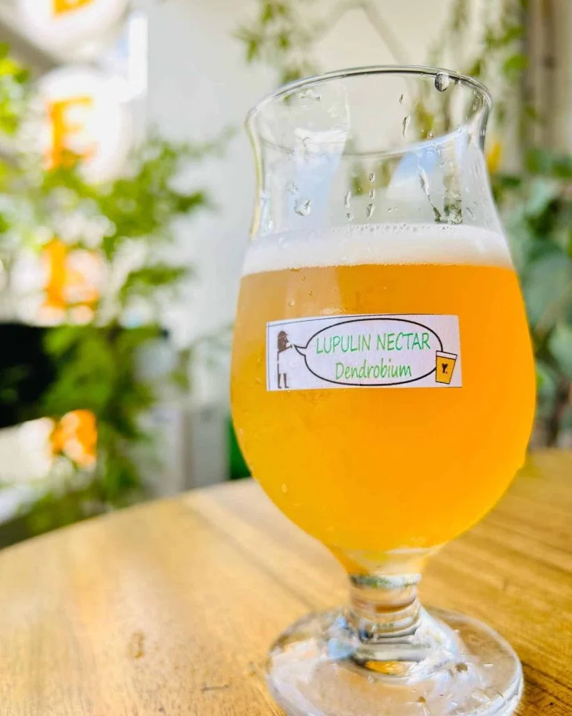New✨ クラフトビール/名古屋/名駅/国際センター/昼飲み/居酒屋