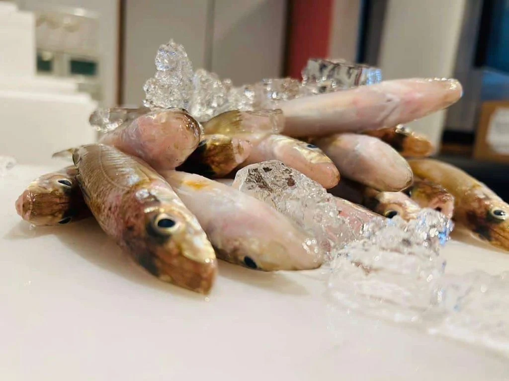 黒板メニュー🐟 クラフトビール/名古屋/名駅/国際センター/昼飲み/居酒屋