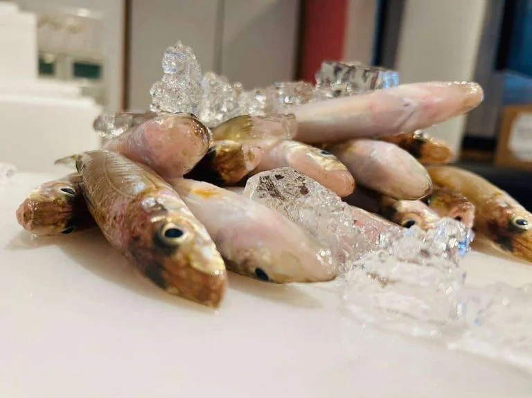 黒板メニュー🐟 クラフトビール/名古屋/名駅/国際センター/昼飲み/居酒屋