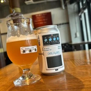 Delay IPA🎸🎶