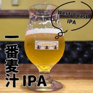 一番麦汁IPA🍺